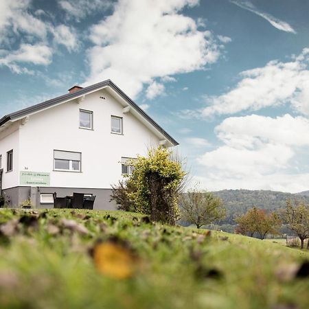 Monis Appartementhaus Unterlamm  エクステリア 写真