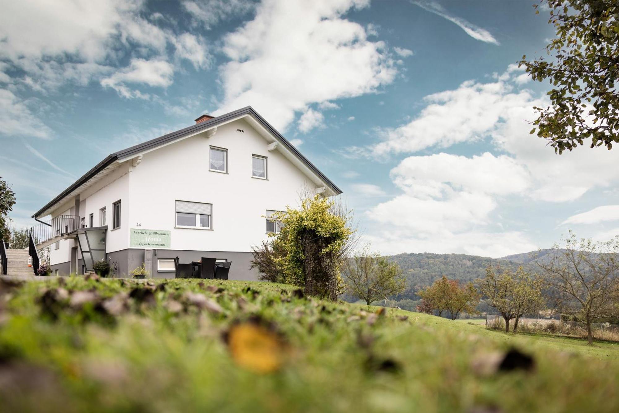 Monis Appartementhaus Unterlamm  エクステリア 写真